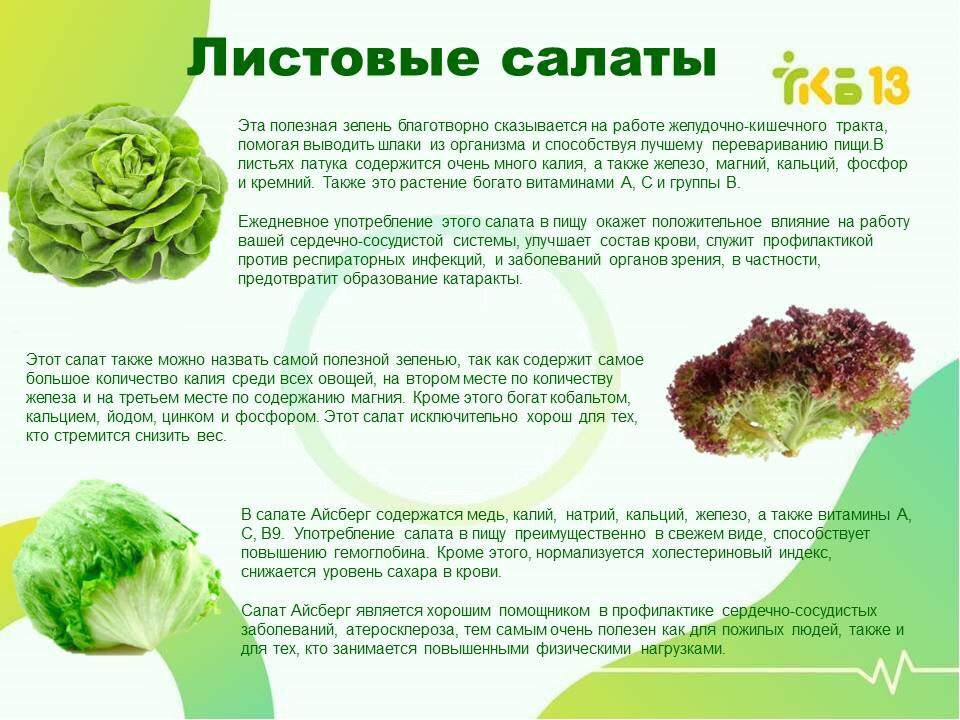 Укроп польза и вред для организма. Чем полезна зелень. Полезная зелень для организма. Салатный лист полезные. Чем полезен салатный лист.