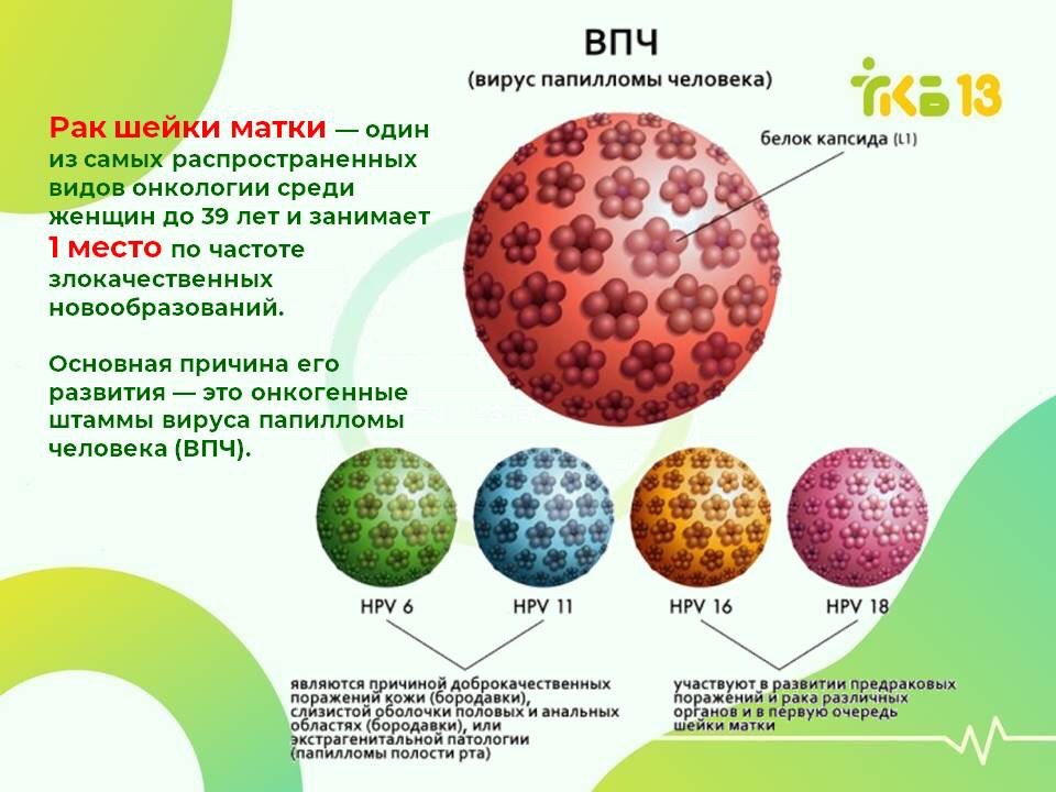 humán papillomavírus hpv 16 és 18))