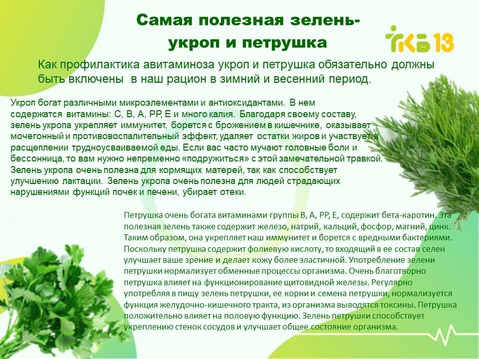 Семя укропа польза для здоровья. Полезная зелень для организма. Польза зелени. Поезный зелен для салат. Полезные зелень для человека.