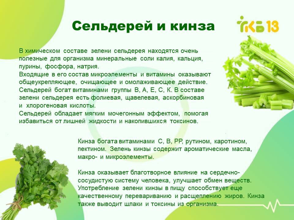 Лук кормящим можно. Полезная зелень для организма. Чем полезна зелень. Чем полезна зелень для организма. Самая полезная зелень для организма.